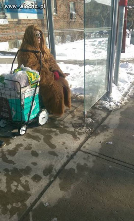 Yeti