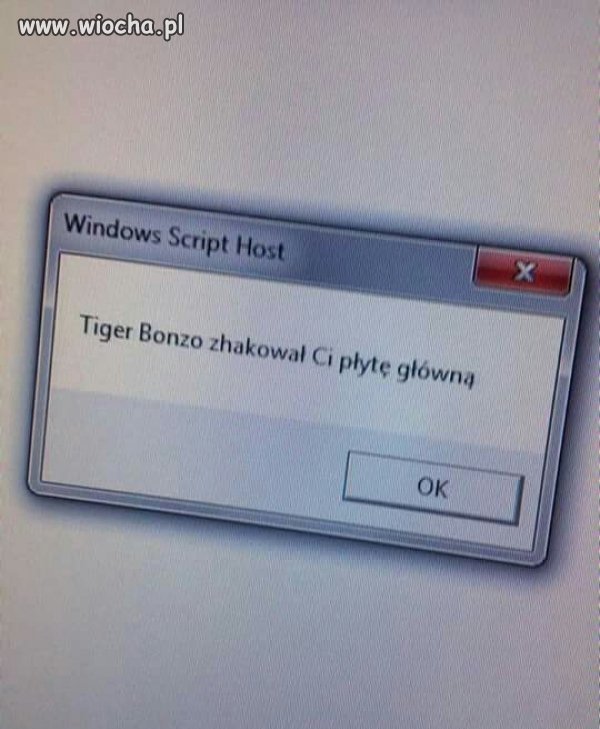 Teraz już wiem że on to robi