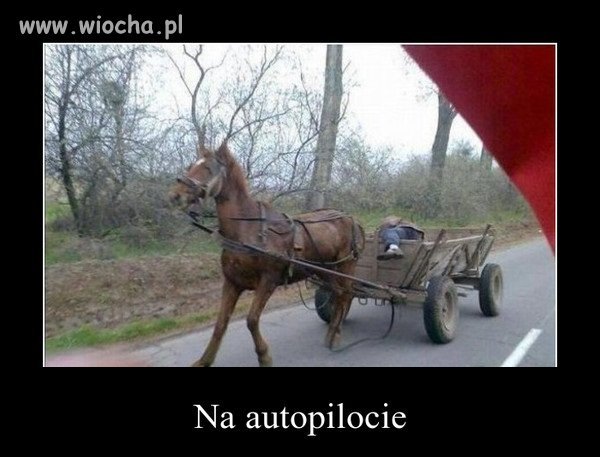 życie woźnicy bywa ciężkie ...