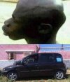 Multipla 
