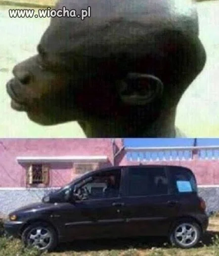 Multipla 