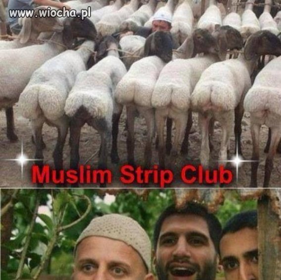 Muzułmański klub ze striptizem 