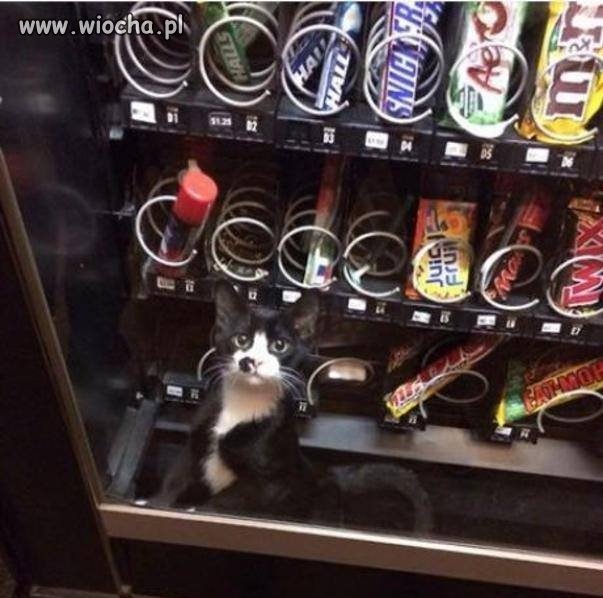 Kitkat