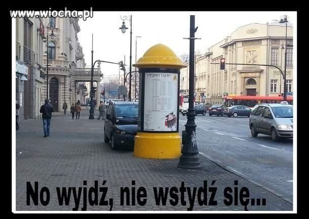 Zawstydzona Multipla