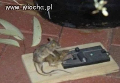 Kiedy najdzie ochota