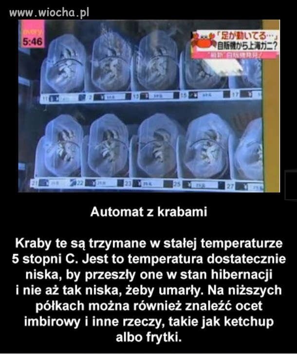 Maszyna z 