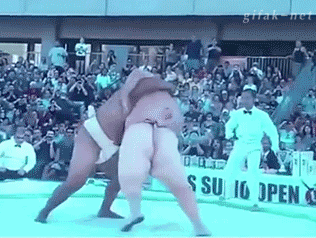 Zapasy Sumo 