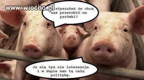 Apolitycznie