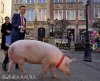 Biedroń z nowym mężem 