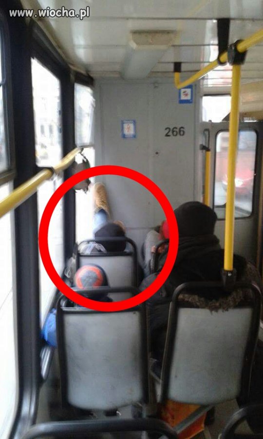 Kultura : Poziom Gimbus 