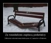 Wandalizm 