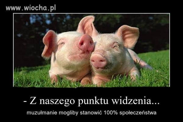 A u nas zabijają