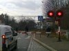 Święte krowy a potem tragedia