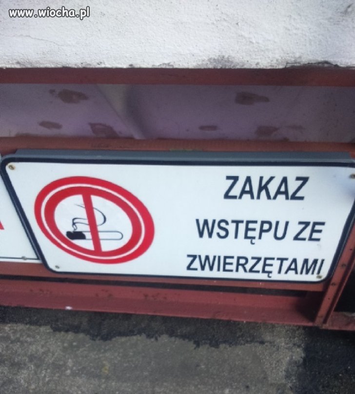 Chyba ktoś się pomylił 