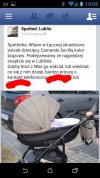 Brak słów