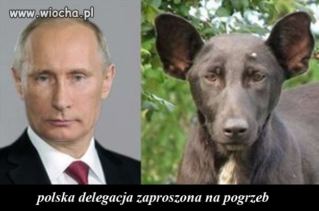 Nie żyje ulubiony pies Władimira Putina