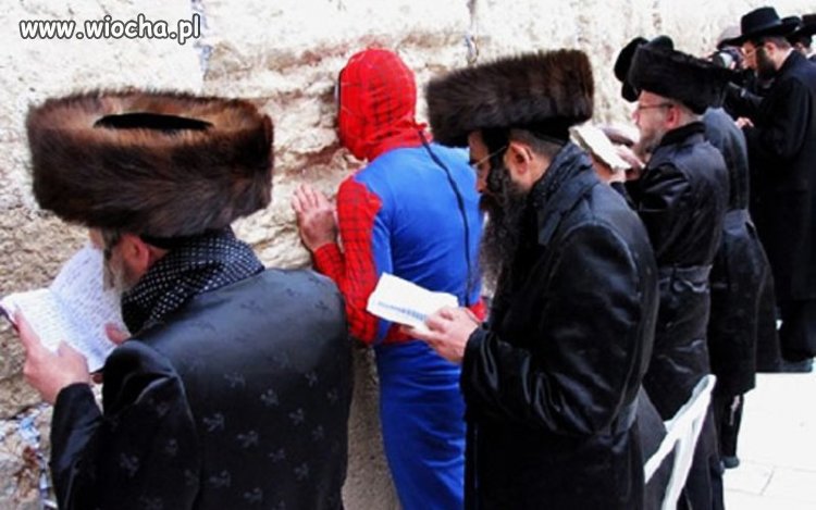 Spiderżyd