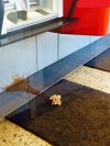A mówią, że pieniądz nie śmierdzi