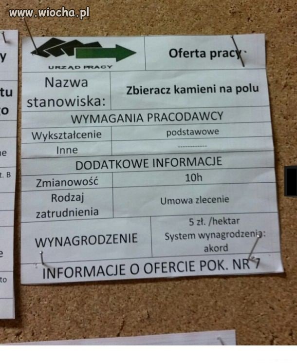 Oferta pracy 