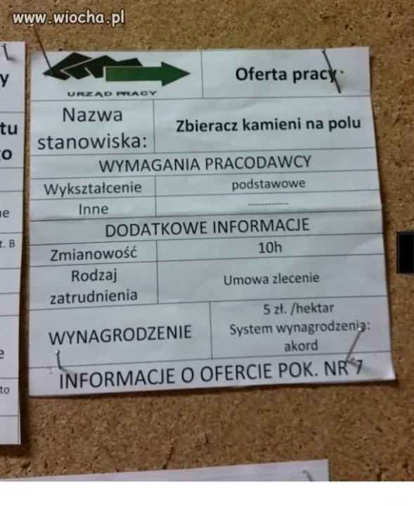 Oferta pracy 