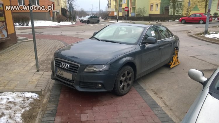 Pierwszy potwierdzony przypadek właściwej