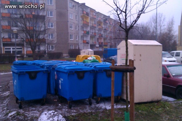 Tak ustawili u nas śmietniki