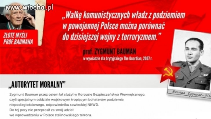 Porównanie godne ubeckiej świni