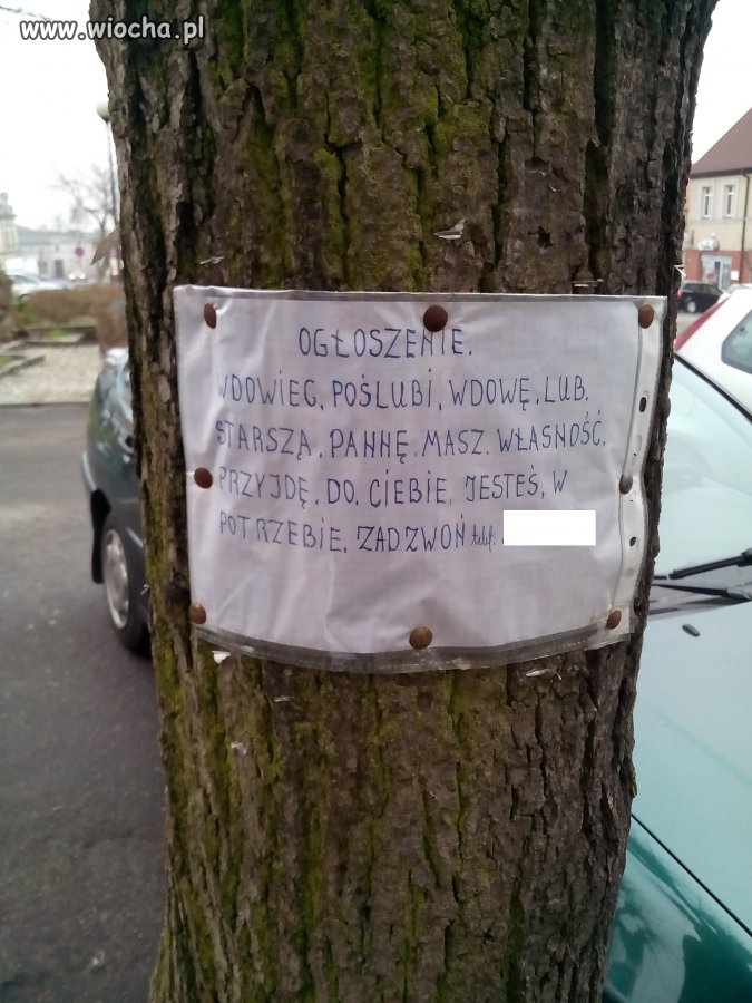 Poślubi