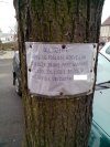 Poślubi