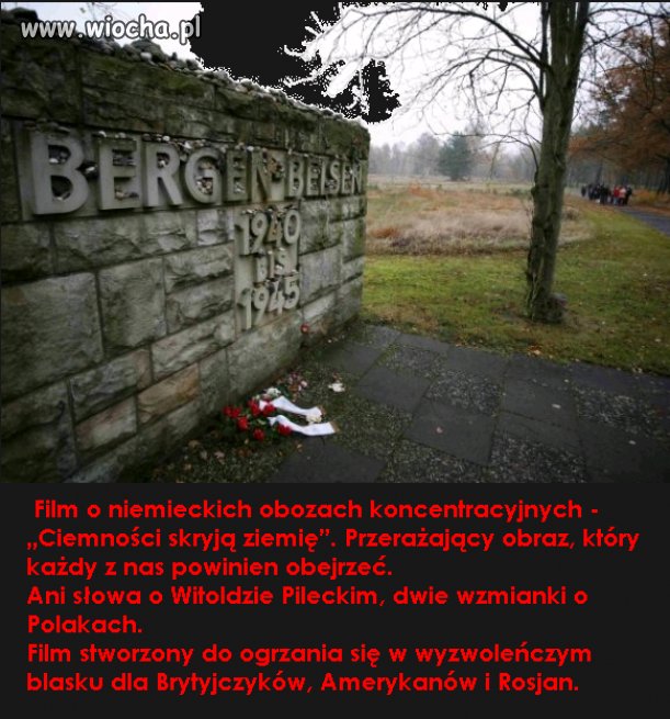 Poprawny politycznie film ...