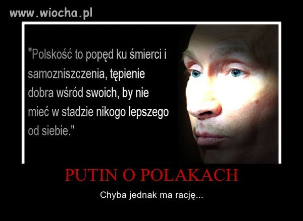Co jak co ale...