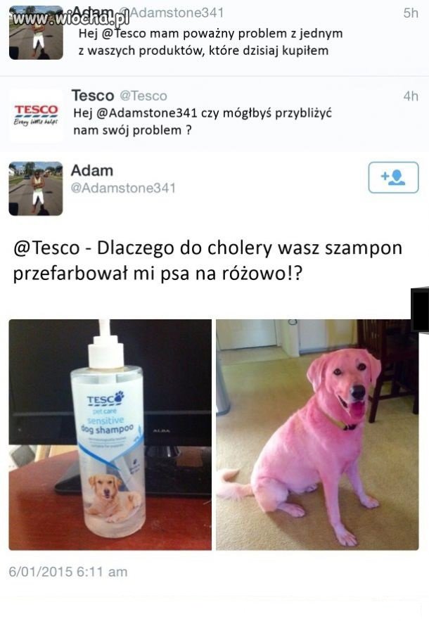 Adam i 