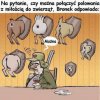 Na pytanie czy można połączyć polowania z miłością