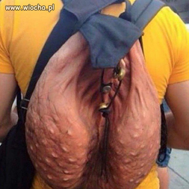 Plecak