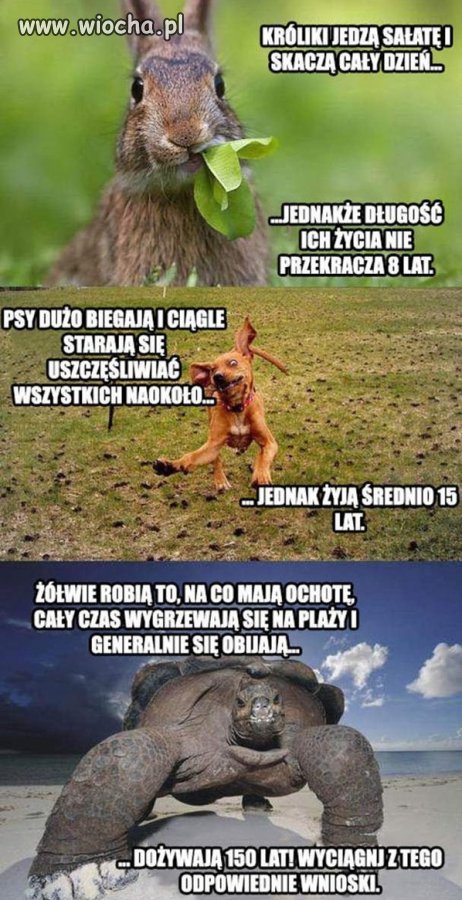 Zdrowe odżywianie i sport...