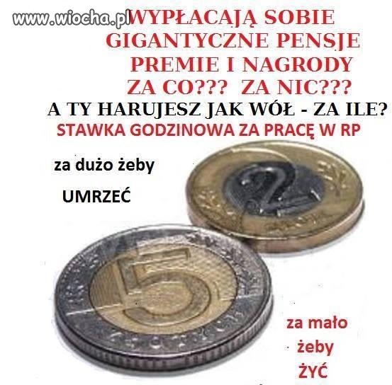 Niektórym chyba jednak to się podoba 