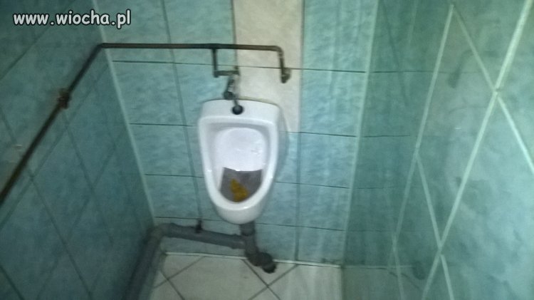 Sracz
