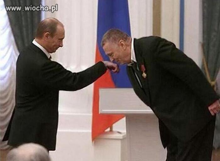 Powąchaj Wołodia.