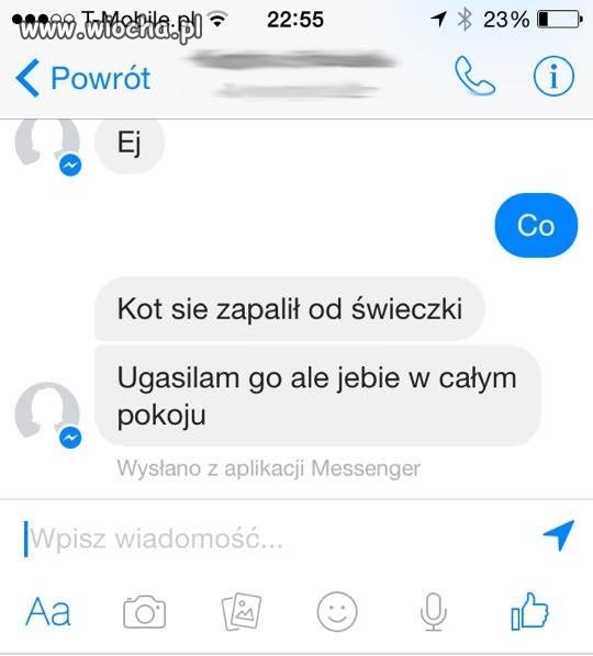Kot   