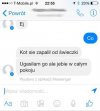 Kot   