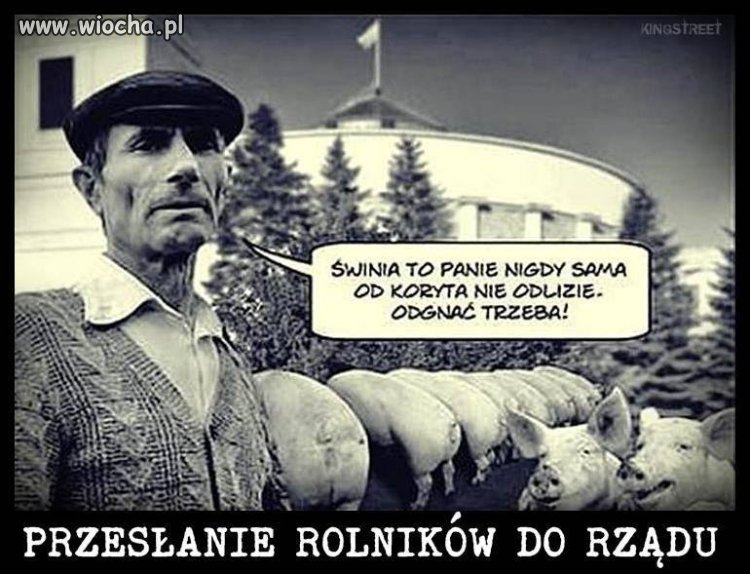 Jedną odegnasz pojawią się następne...