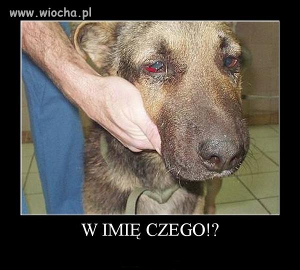 Jak można robić coś takiego 