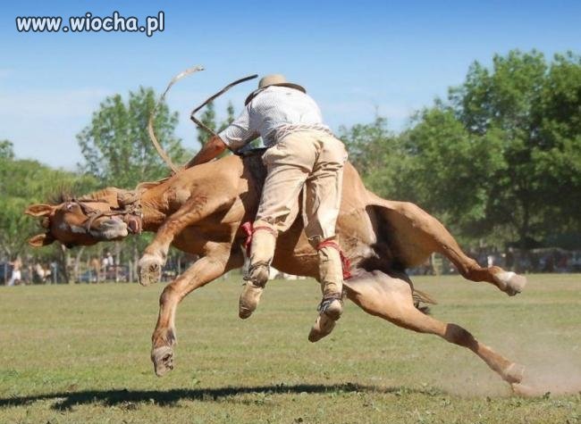 Jockey.