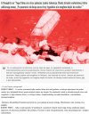 A dlaczego żadna tv nie chce tego pokazać?