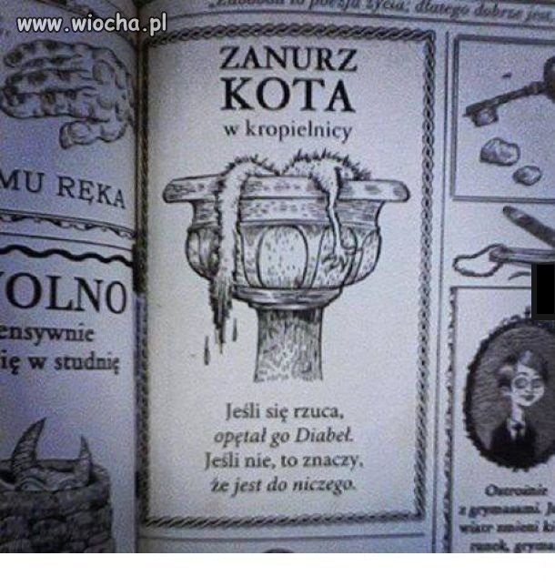 Zanurz kota 