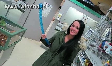 W sklepie z zabawkami dla zwierząt...