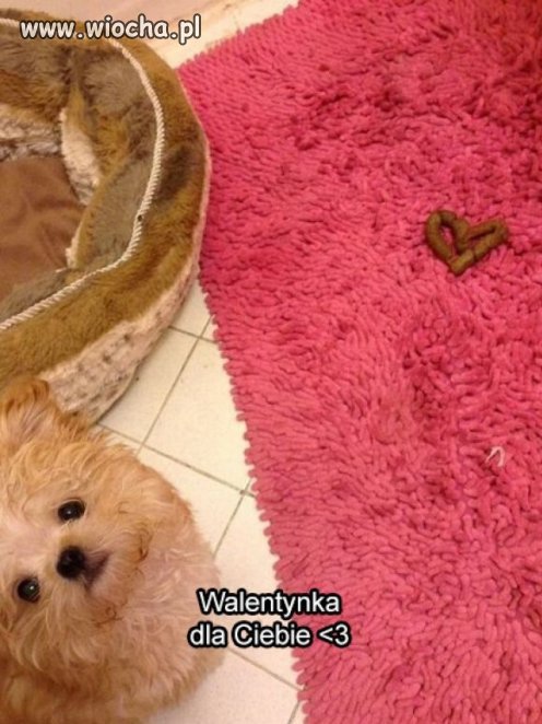 Walentynka
