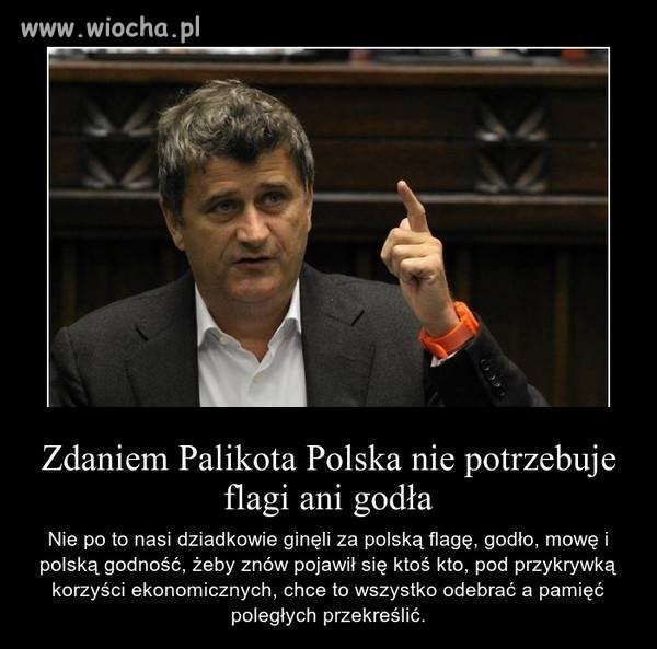 A Polska nie potrzebuje kogoś takiego Jak Palikot 