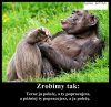 Tytułu nie trzeba
