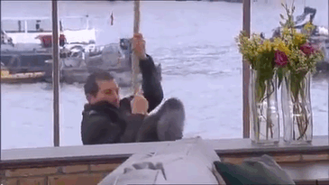 Pan grylls